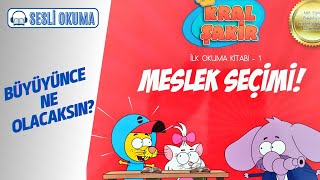 KRAL ŞAKİR MESLEK SEÇİMİ  Çocuklar İçin Sesli Okuma [upl. by Erot]