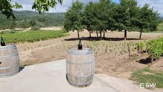 The Ribeiro Wine Tour amp Nature Trail Walk in Galicias oldest wine region [upl. by Nigem961]