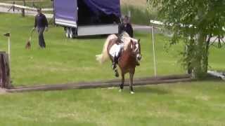 Haflinger Gelände Gunzenhausen 2014 [upl. by Ainig839]