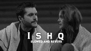 Ishq Lost  Found Slowed And Reverb [upl. by Seyer935]