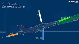 Principles of flight – Part 1  Fundamentals [upl. by Brucie]