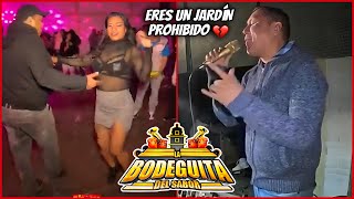 🎤 ASÍ CANTA MAYIN EL JARDÍN PROHIBIDO 🚫 SIBONEY EN SAN LORENZO TEZONCO ✅ PRODUCCIONES MACONDO 💢 [upl. by Neellek]