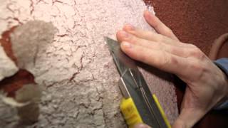 How to make flaking paint faux finish 171 [upl. by Anilac367]