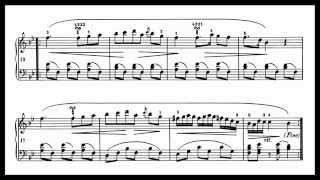 Frederic CHOPIN Polonaise in B flat major BI3 HD [upl. by Philander]