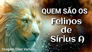 QUEM SÃO OS FELINOS DE SÍRIUS A [upl. by Meece]