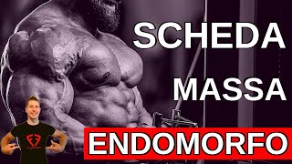 Scheda Massa Endomorfo [upl. by Davon]