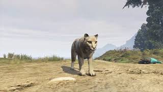 PEYOTES GTA5 MODO HISTORIA PUMA [upl. by Felty]