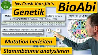 Genetik Anwendungsaufgabe AFB II Art der Mutation herleiten  Stammbaum analysieren  BioAbi 2023 [upl. by Ingamar864]