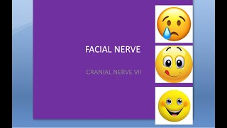 ENT 115 a Facial Nerve Anatomy Pathway Path Cranial Nerve VII 7 [upl. by Notelrahc]