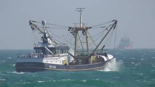 Trawler BM100 Georgina Of Ladram Outbound 31082024 [upl. by Strong]