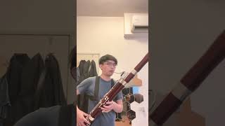 Hummel bassoon concerto practice [upl. by Reta]