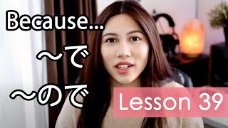 Learn Japanese  Minna No Nihongo Lesson 39 Grammar [upl. by Repohtsirhc]