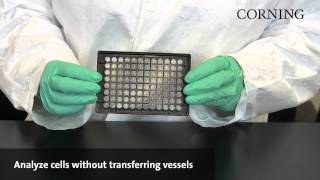 Corning® Spheroid Microplates  Assay and analyze 3D spheroids in the same microplate [upl. by Eneri]