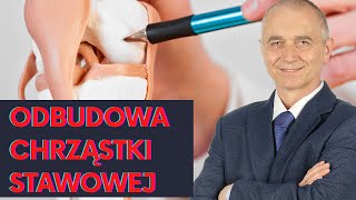 Regeneracja i odbudowa chrząstki stawowej  co możemy a czego nie możemy zrobić [upl. by Atnom]