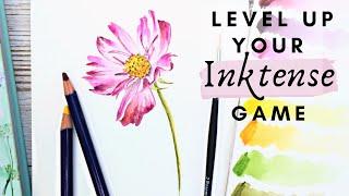 Inktense Pencils Tutorial [upl. by Naujtna]