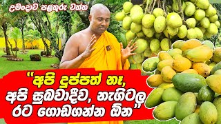 අපි දුප්පත් නෑ අපි අපි සුබවාදීව නැගිටල රට ගොඩ ගන්න ඕන  උමංදාව පළතුරු වත්ත [upl. by Nairda]