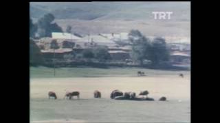 1985te Çekilen Bingöl Belgeseli Bingöl merkez ve ilçelerden görüntüler [upl. by Kwan]