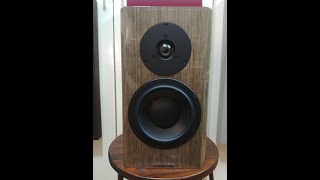 Dynaudio Special 40 review vs KEF LS50 vs Tekton Impact Monitor vs ATC SCM 11 [upl. by Hacceber]