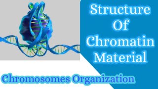 Structure of chromatin materialChromosomes organizationchromatinnucleosomesDNA [upl. by Oilime346]