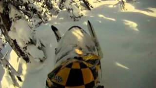 Slednecks CHRIS BROWN  slednecks snowmobile in trees revelstoke [upl. by Holna7]