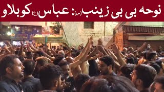 Bazar Main Sitamgar Zainab Ko Laa Rahe Hain  Abbas Ko Bulao  Nazim Party  Shabab Ul Momineen [upl. by Dace49]