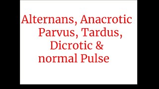 Alternans Anacrotic  parvus tardus dicroticamp normal Pulse [upl. by Ahtar]