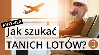 Najlepsze aplikacje do wyszukiwania tanich lotów [upl. by Hemphill]