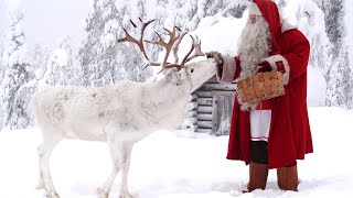 Mensagem do Papai Noel 🎅🦌🎄Pai Natal às crianças antes do Natal Lapônia Finlândia Santa Claus Village [upl. by Peltz91]