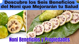 Noni Beneficios y Propiedades  Descubre los Seis Beneficios del Noni que Mejorarán tu Salud [upl. by Shawnee]