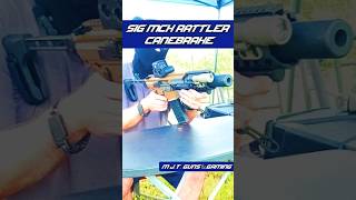 MCX Rattler Canebrake 300 Blackout 💥 guns rifle tactical [upl. by Hiltan]