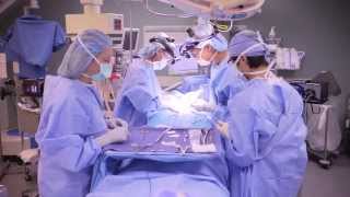 Parathyroid Surgery  UCLA Endocrine Surgery [upl. by Hanah32]