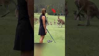 MÁNADA DE CANGUROS EN BUSCA DE VENGANZA cc wendywoogolf on IG historias curiosidades viral [upl. by Elamef]