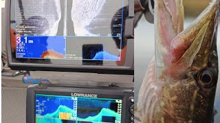 LOWRANCE Hook Reveal 9 Triple Shot или GARMIN Striker 9 SV Тестсравнение на воде  рыбалка [upl. by Seena136]