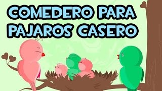 Comedero para Aves Casero  Muy Facil [upl. by Oisangi]