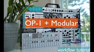 How I Sample Modular with the OP1  Eurorack modular samples with OP1 Lofi Beats [upl. by Jourdain]