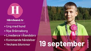 Härnösandtv  19 september 2024 [upl. by Nance]