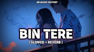 Bin Tere  Slowed  Reverb   Rakulpreet Singh ❤️ Jackky Bhagnani  NR Music Factory [upl. by Lenwood]