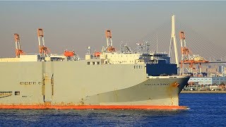 Shipspotting Tokyo Bay  January 13th 2018 [upl. by Ummersen]