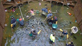 When Authorities Drained This 200 Year Old Canal What They Found At The Bottom Was Extraordinary [upl. by Aloisia]