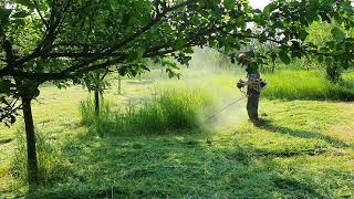 Stihl FS 260 C in action [upl. by Allbee245]