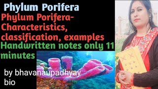 porifera poriferacharectersclassification sponge [upl. by Eimarrej697]