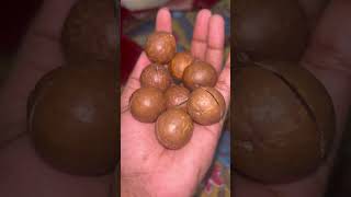 Trying macadamia nuts 🌰viral nutfirsttimebuyer youtubeshorts viralvideo viralshort abudhabi [upl. by Sandry163]