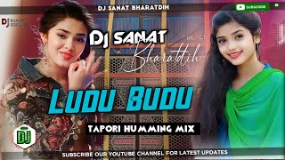 Hit Sambalpuri Song Mix  Ludu Budu Nain Laguche Ge Full to Humming Mix Dance Dj Sanat Bharatdih [upl. by Kalasky]