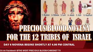 PRECIOUS BLOOD July Novena For The 12 Tribes Of Israel Day 6 [upl. by Brottman491]