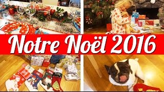 BIG FAMILY VLOG NOTRE NOËL 2016 🎅 [upl. by Perrie]