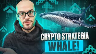 🚨 CRYPTO Cosa Comprano le BaleneWHALE Scopri Ora [upl. by Montanez585]