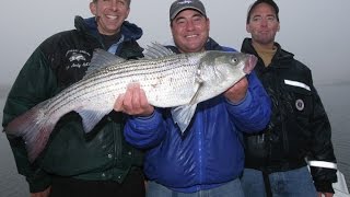 Striped Bass Fishing  Sandy Hook NJ Preview [upl. by Sylvan]