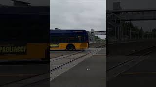 🚌Route183 King county bus crossing train track sound ASMRshorts [upl. by Garv]