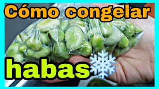 Cómo CONGELAR HABAS sin vainas  Congelar verduras fácil [upl. by Ennairol]