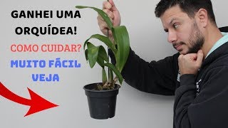 COMO CUIDAR DA ORQUÍDEA QUE GANHEI [upl. by Antin]